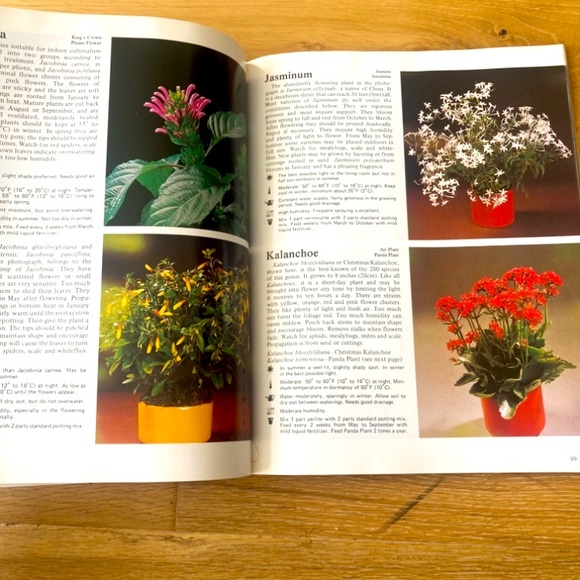 How to Grow Healthy House Plants Book - Picture 3 of 7
